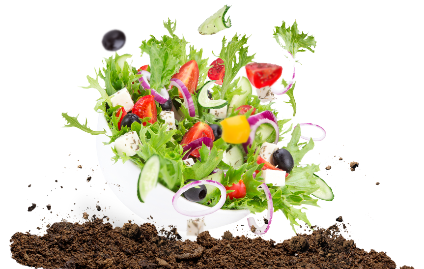 Mike & Mike's Toronto Ontario Organic Food Distributor Canada Mike